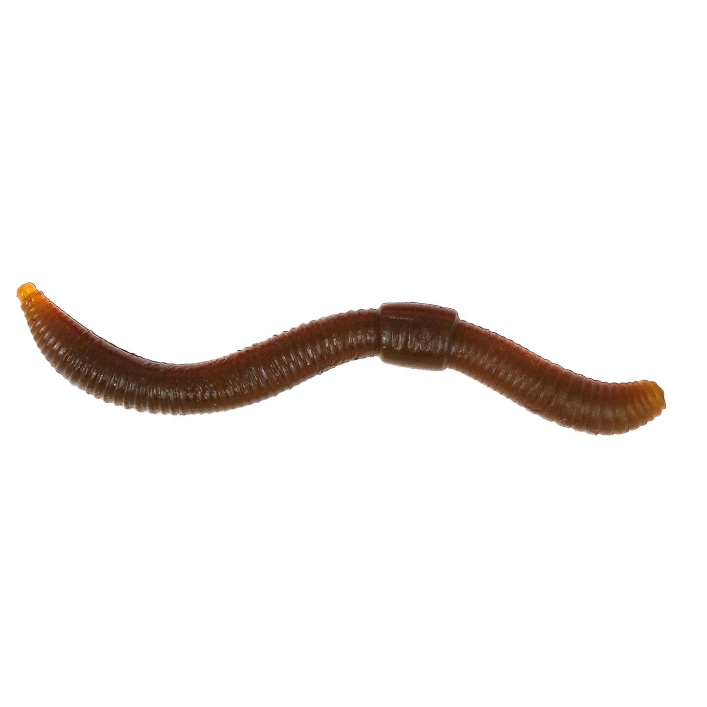 SPRO DENDROBENA