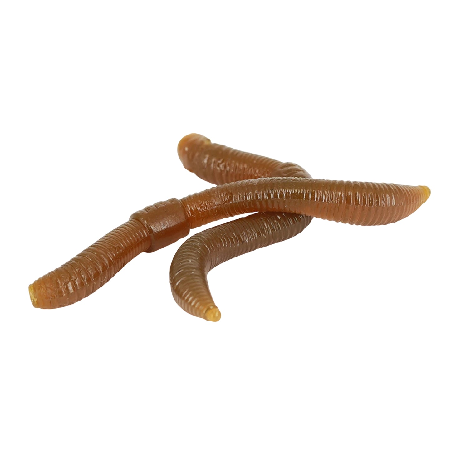 SPRO DENDROBENA