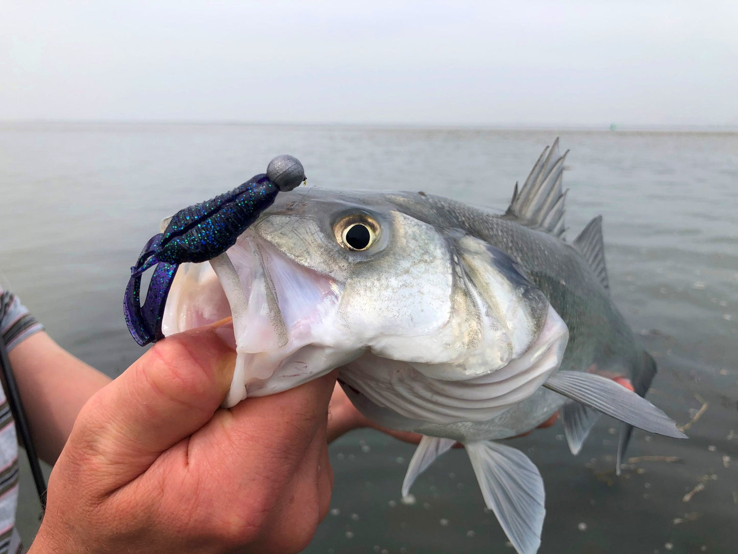 SCENT SER. INSTA CLAW 8CM - KM-Tackle