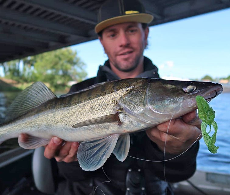 SCENT SER. INSTA CLAW 8CM - KM-Tackle
