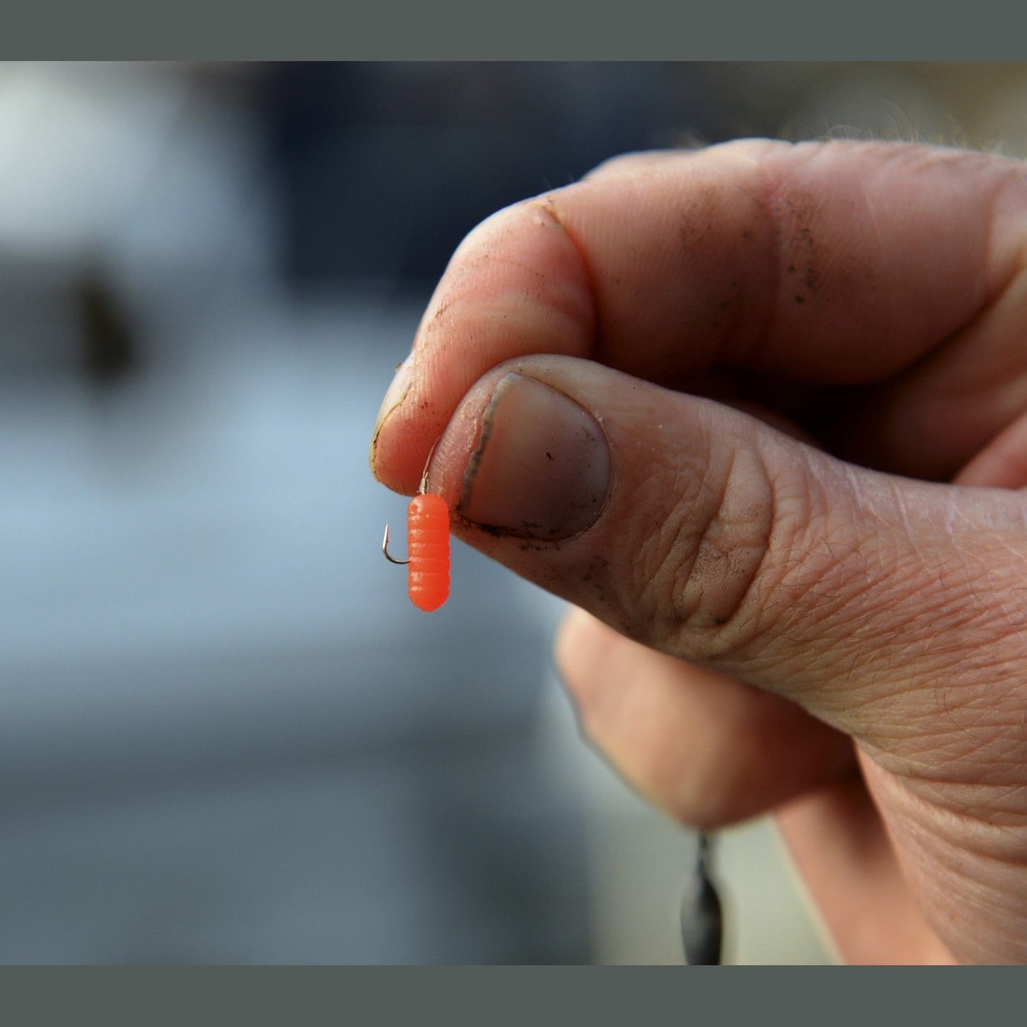 SPAGHETTI WORMS - KM-Tackle