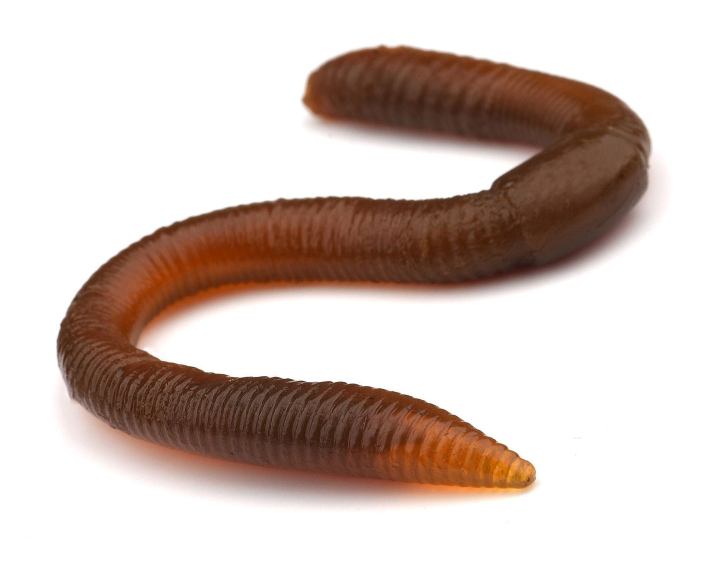 SPRO TWITCH WORM - KM-Tackle