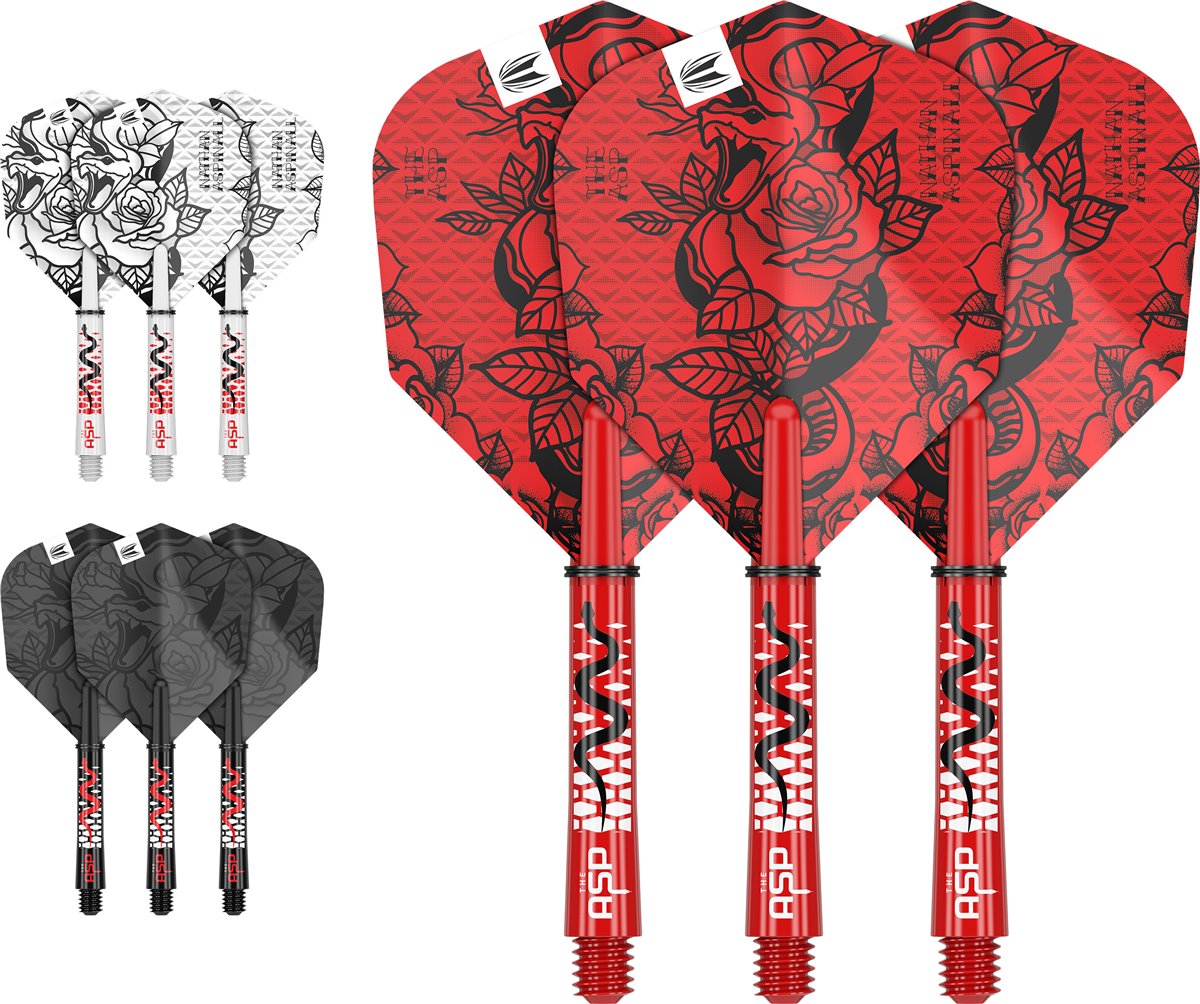  Target Nathan Aspinall Ink 2023 No6 Dartflights im roten, weißen und schwarzen Design, 3er-Set