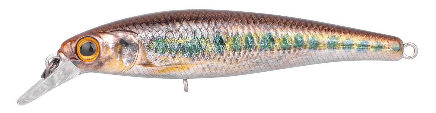 IKIRU JERK 65 FS - KM-Tackle